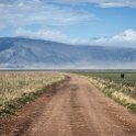 TZA ARU Ngorongoro 2016DEC26 Crater 073 : 2016, 2016 - African Adventures, Africa, Arusha, Crater, Date, December, Eastern, Month, Ngorongoro, Places, Tanzania, Trips, Year